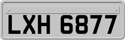 LXH6877
