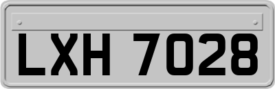 LXH7028