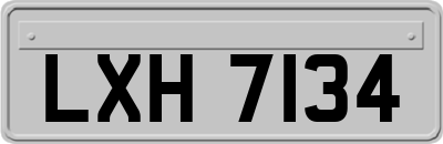 LXH7134