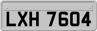 LXH7604