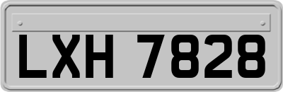 LXH7828