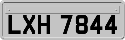 LXH7844