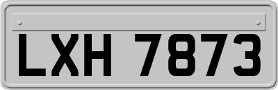 LXH7873