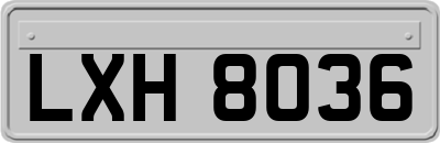 LXH8036