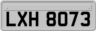 LXH8073