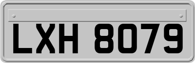 LXH8079