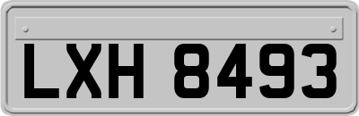 LXH8493