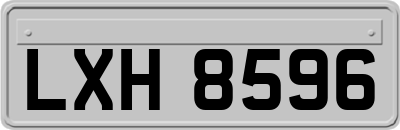 LXH8596