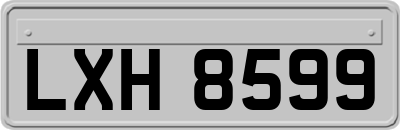 LXH8599