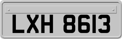 LXH8613