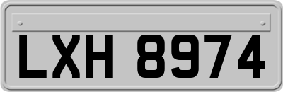 LXH8974