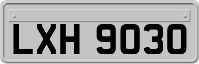 LXH9030