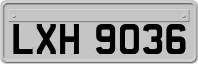 LXH9036