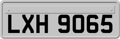 LXH9065