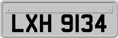 LXH9134