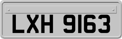 LXH9163