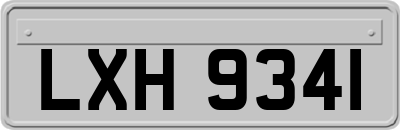 LXH9341
