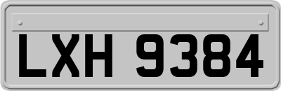 LXH9384