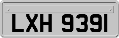 LXH9391
