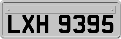 LXH9395