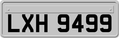 LXH9499