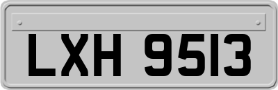 LXH9513