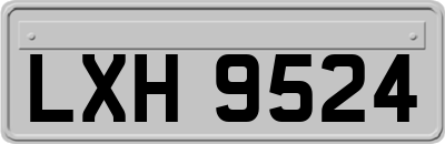 LXH9524