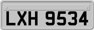 LXH9534