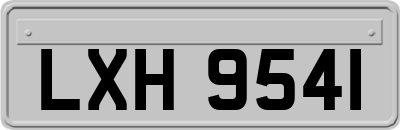 LXH9541