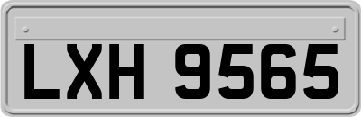 LXH9565