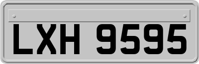 LXH9595