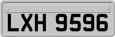LXH9596