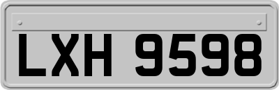 LXH9598