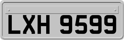 LXH9599