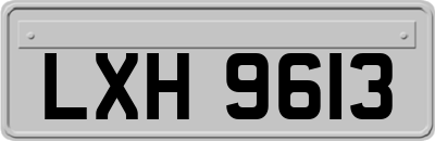 LXH9613
