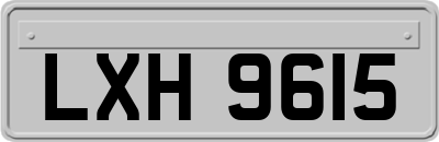 LXH9615