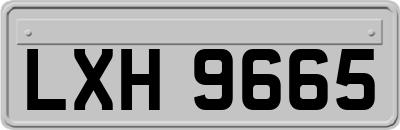 LXH9665