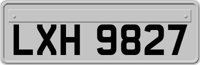 LXH9827