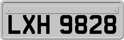 LXH9828