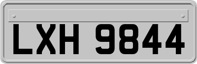 LXH9844