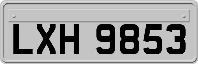 LXH9853