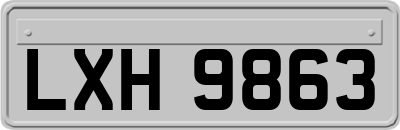 LXH9863