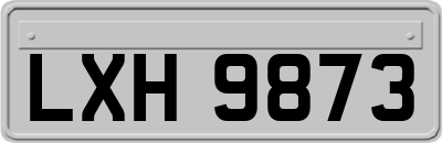 LXH9873