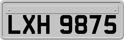 LXH9875