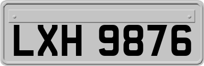 LXH9876
