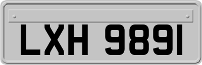 LXH9891