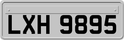 LXH9895