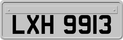 LXH9913