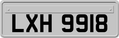 LXH9918