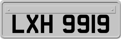 LXH9919